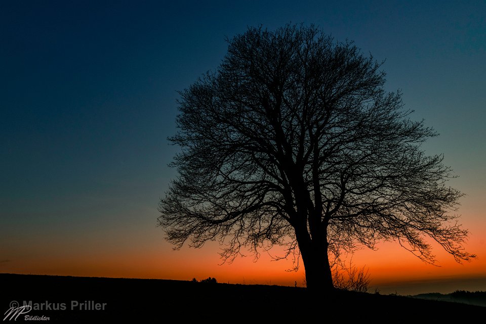 2014.03.07 192848 Sonnenuntergang Sachsenried 3000